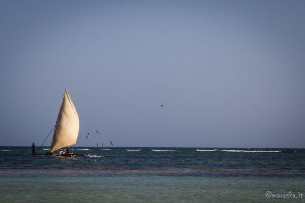 kenya-places-watamu-img-1469B68A9BD9-520B-D946-A85D-C574E10C797B.jpg